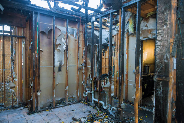 Professional Fire Damage Removal technician working in Central, LA